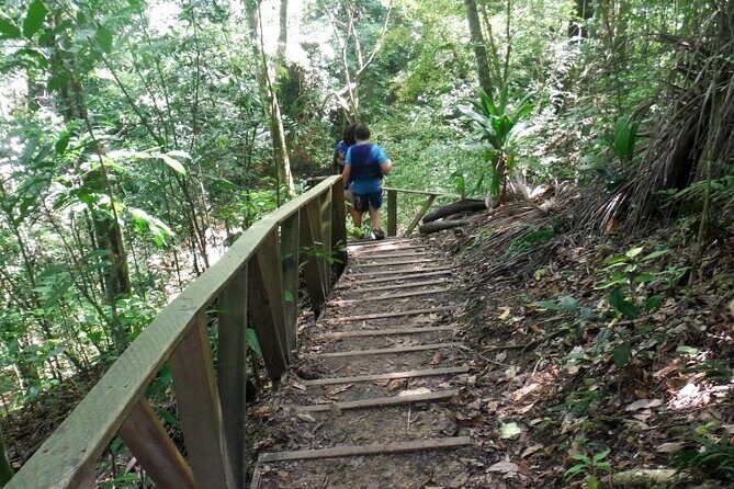 27 Waterfalls of Damajagua – Adventure Tour from Puerto Plata - The guided climb at 27 Waterfalls of Damajagua: what to expect
