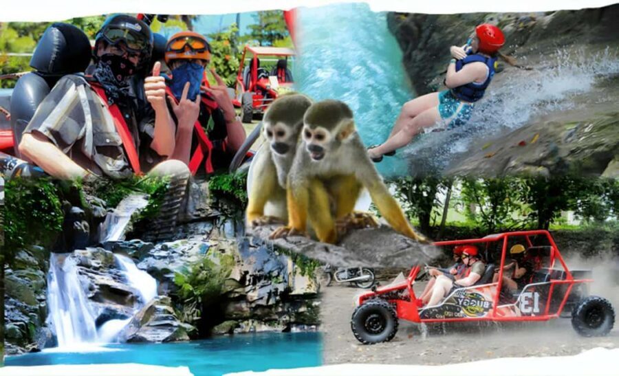 3x1: Monkeyland Damajagua Falls & Buggy Tour Puerto plata - Key Moments That Make This Tour Worth It