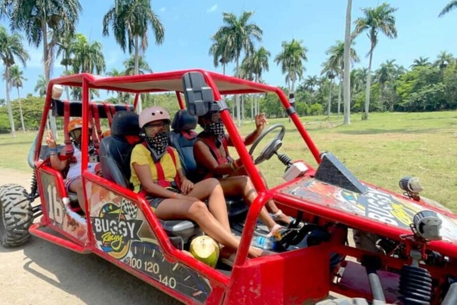 3x1: Monkeyland Damajagua Falls & Buggy Tour Puerto plata - Timing and Pickup: Where the Day Starts at Taino Bay and Amber Cove