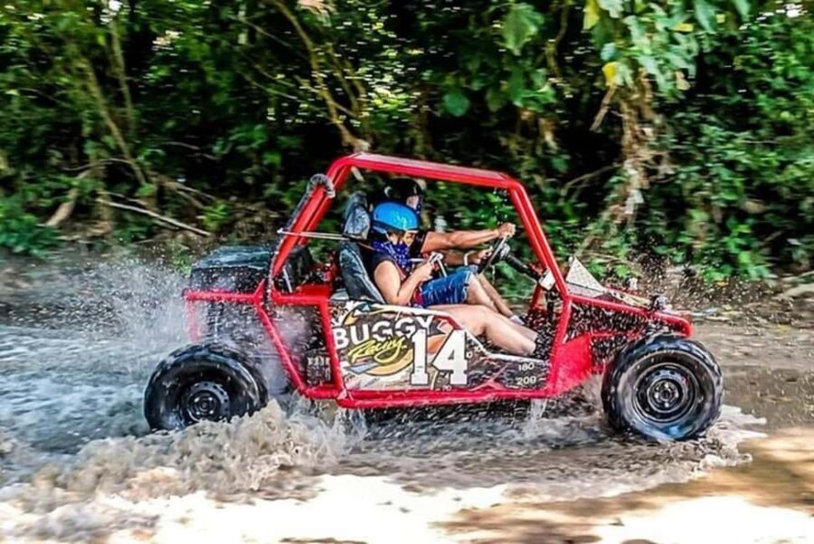 3x1: Monkeyland Damajagua Falls & Buggy Tour Puerto plata - Should You Book the 3x1 Monkeyland Damajagua Falls and Buggy Tour?