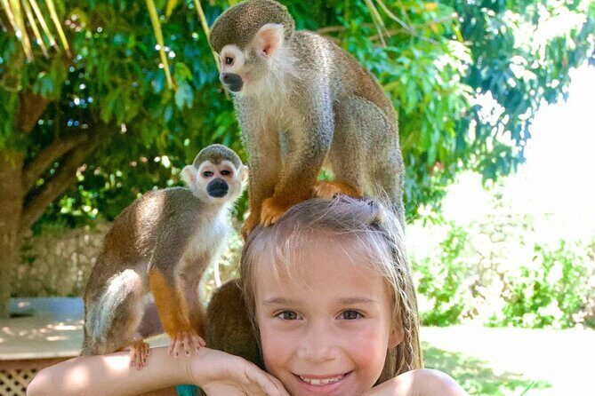 3x1: Monkeyland Waterfalls and Buggy Tour Puerto Plata - Price and What $195 Really Buys You in This 3x1 Format