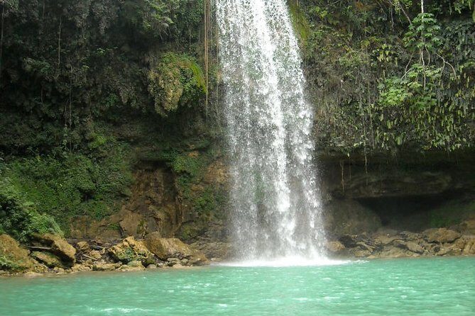 7 Hour- Private Nature Tour of the Monte Plata Rainforest - Key things to know before you go