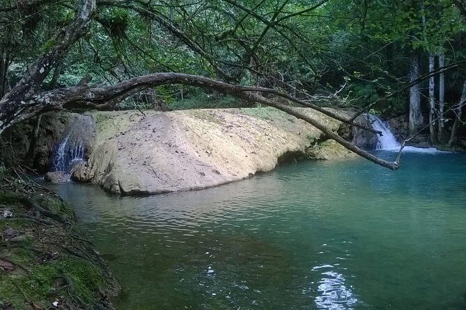 7 Hour- Private Nature Tour of the Monte Plata Rainforest - Monte Plata Rainforest: Why this 7-hour private tour feels worth your time