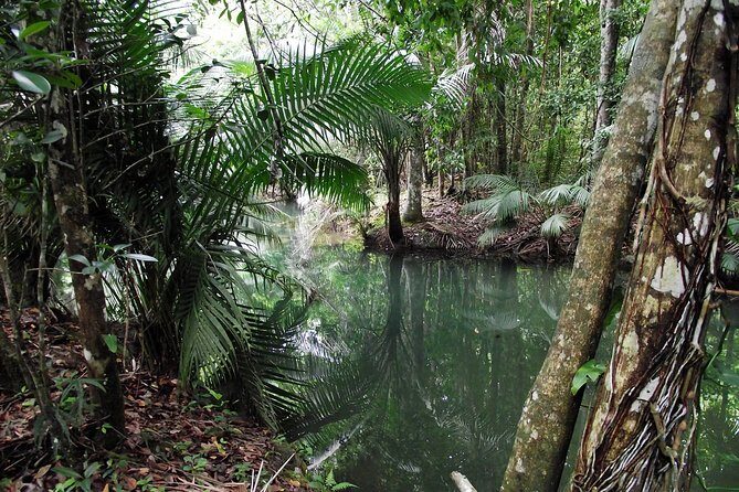7 Hour- Private Nature Tour of the Monte Plata Rainforest - Weather reality: why good conditions matter for waterfalls