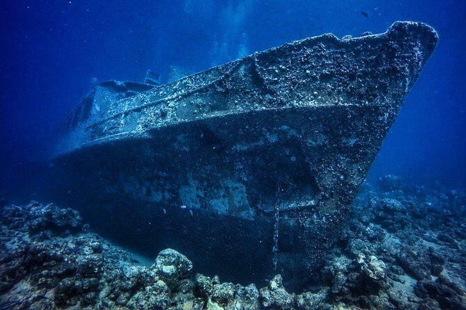 Advanced Open Water Diver - Bávaro - Key things that make this course worth it