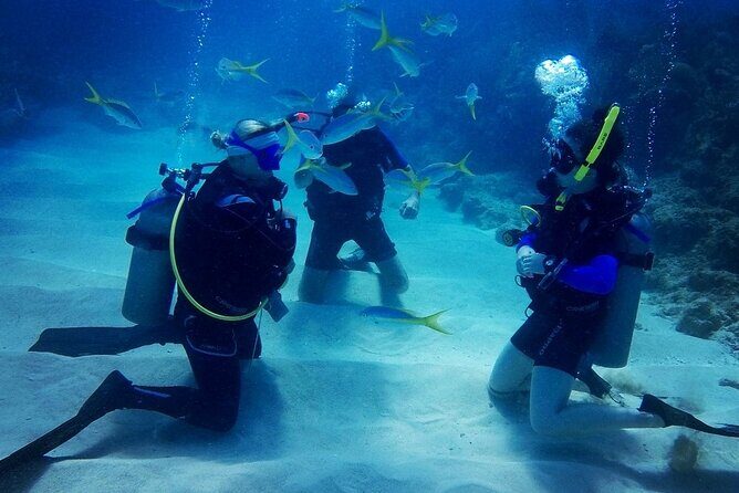 Advanced Open Water Diver - Bávaro - What “Advanced Open Water” really adds (and why it helps you)