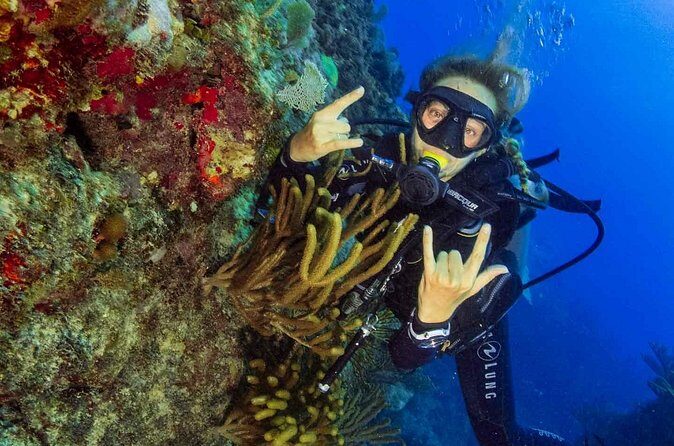 Advanced Open Water Diver - Bávaro - Practical tips before you go (so you enjoy every session)