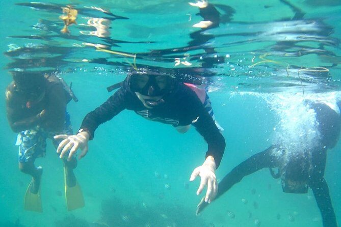 ADVENTURE PACKAGE: Buggy OffRoad Experience & Catamaran Cruise with Snorkeling - How the buggy-to-catamaran mix plays in the Dominican Republic