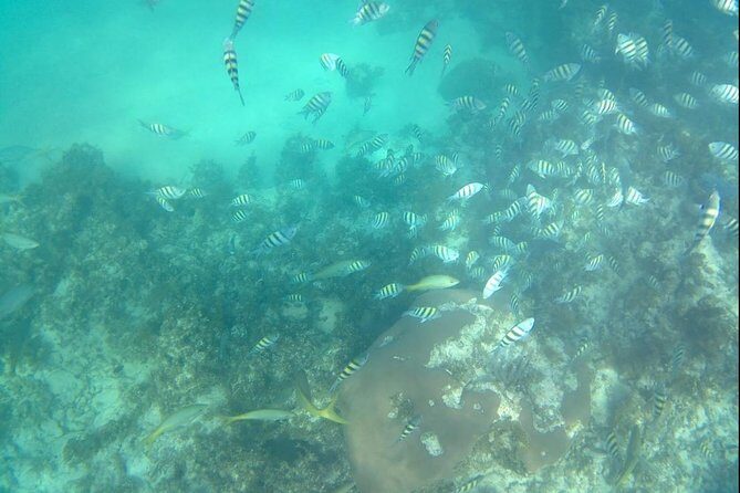 ADVENTURE PACKAGE: Buggy OffRoad Experience & Catamaran Cruise with Snorkeling - The coffee-and-chocolate stop: small taste, big context