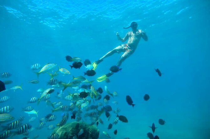 Amber Cove - Taino Bay Party Boat Snorkeling Whit Locale BBQ Tour - The 15-Minute Chocolate Factory Stop: Small, But Memorable