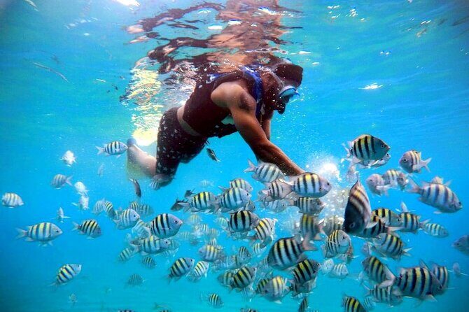 Amber Cove - Taino Bay Party Boat Snorkeling Whit Locale BBQ Tour - Pickup and Timing: How to Make It Feel Smooth