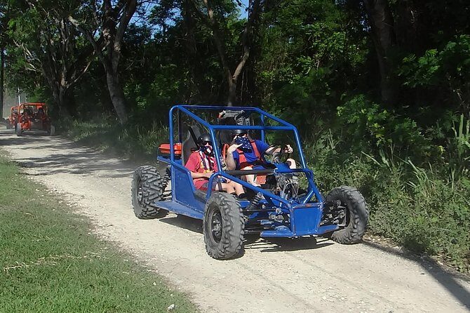 Amber Cove & Taino Bay Shore Excursion: 2 person Buggy Tour - The cigar and tasting/shop stop: optional pressure, mixed vibes
