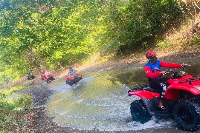 ATV Tour in Puerto Plata - Price and value: is $94.95 a good deal?