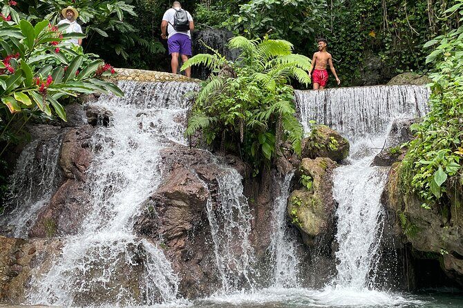Bahía de las Águilas, ALL INCLUSIVE experience from Barahona - Arroyo Salado: freshwater time and a nature-picnic feel