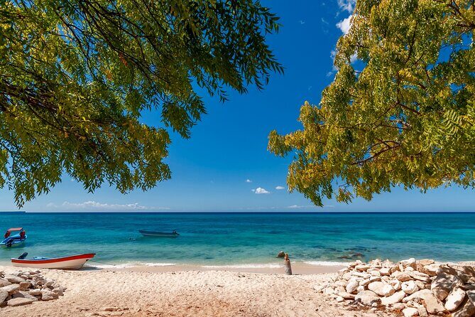 Bahía de las águilas glamping experience from Santo Domingo - Quick hits before you go