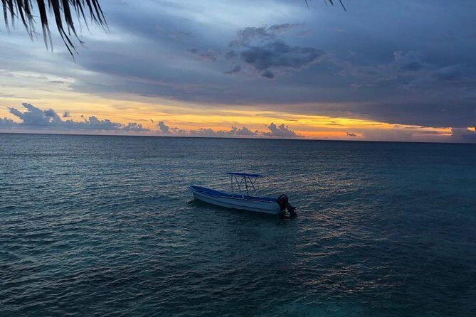 Bahía de las águilas glamping experience from Santo Domingo - Bahía de las Águilas next day: calm water and long white-sand hours