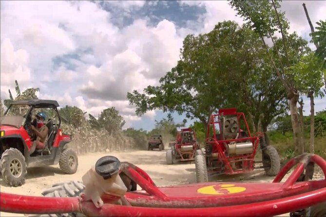 Buggies Punta Cana Macao - Key highlights you’ll actually care about