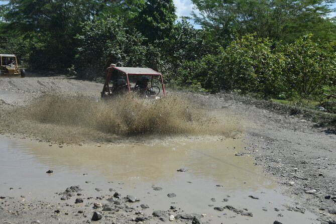Buggy Excursion in Puerto Plata - Safety and the buggy setup: double riders, switch roles, stay in control