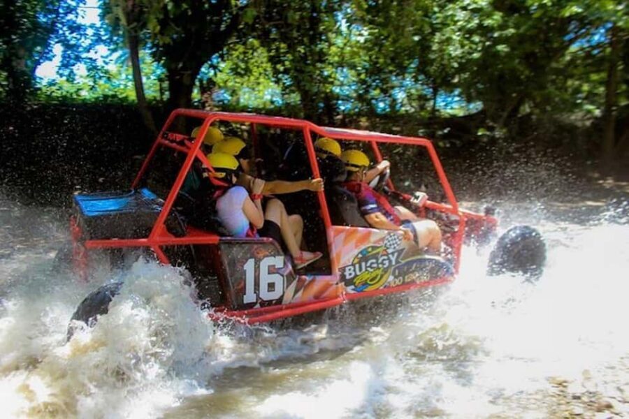 Buggy Tour Excursion in Taino Bay and Amber Cove Port - A Two-Port Buggy Experience That Works for Cruise Days