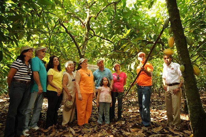 Cacao Plantation and Chocolate Factory Tour- Chocolate Lovers - La Esmeralda factory tour: how beans become a bar