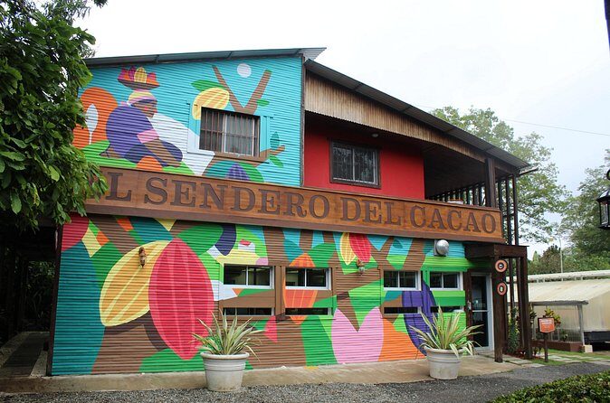 Cacao Plantation and Chocolate Factory Tour- Chocolate Lovers - Timing and logistics: planning for a smooth chocolate morning