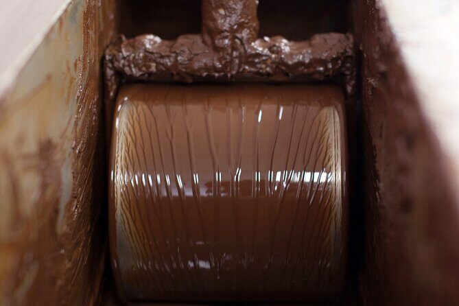 Cacao Plantation and Chocolate Factory Tour- Chocolate Lovers - Who should book this tour (and who might skip it)