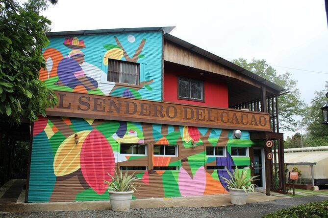 Cacao Plantation and Chocolate Factory Tour- Classic - Who should book this cacao and chocolate factory tour?