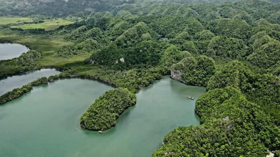 Cano Hondo Natural Pools & Los Haitises boat tour - Practical Tips So Your Day Runs Smoothly