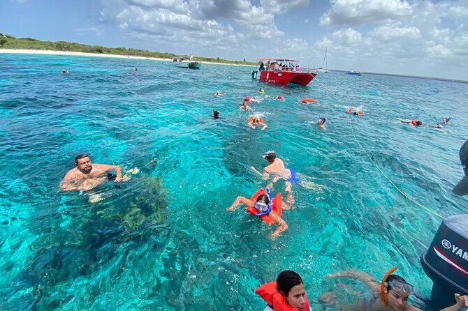 Catalina Island and Snorkeling - Full-day Trip - Key Highlights at a Glance