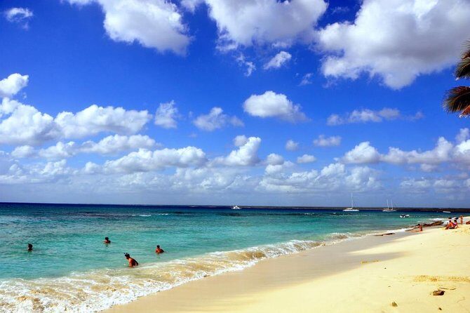 Catalina Island and Snorkeling - Full-day Trip - The Big Trade-Off: Transportation Time