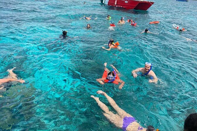 Catalina Island and Snorkeling - Full-day Trip - Price, Inclusions, and Where the Value Shows
