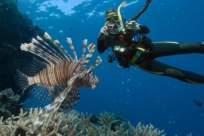 Catalina Island Diving Tour - Key things to know before you go