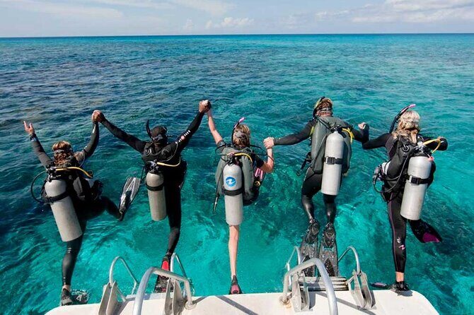 Catalina Island Diving Tour - Lunch included: why it’s more valuable than you think