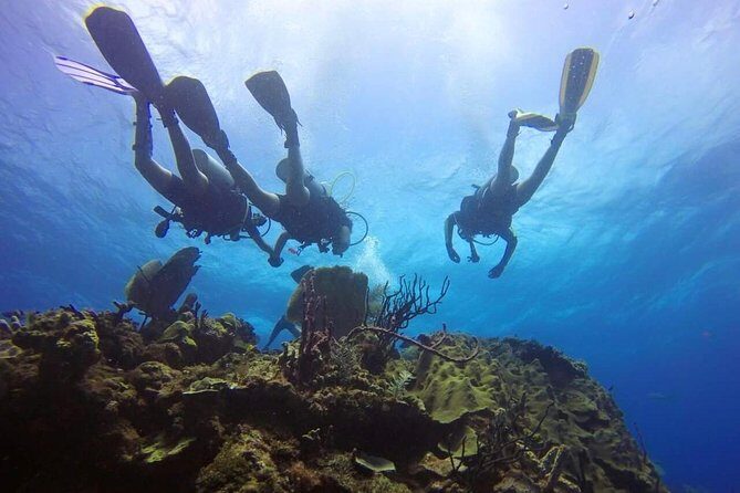 Catalina Island Scuba Diving and Snorkeling Tour from Punta Cana - Punta Cana to La Romana Marina: the day starts early