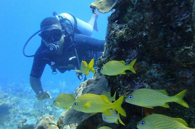 Catalina Island Scuba Diving and Snorkeling Tour from Punta Cana - Catamaran ride and the value of a full-day format