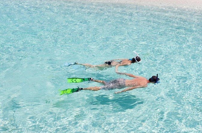 Catalina Island Scuba Diving and Snorkeling Tour from Punta Cana - Price, group size, and what you’re really buying