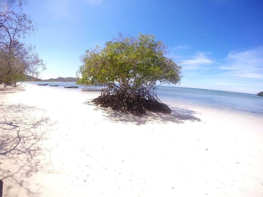 Cayo Arena: Paradise Island and Mangroves Tour - Quick take on this Cayo Arena and mangroves day