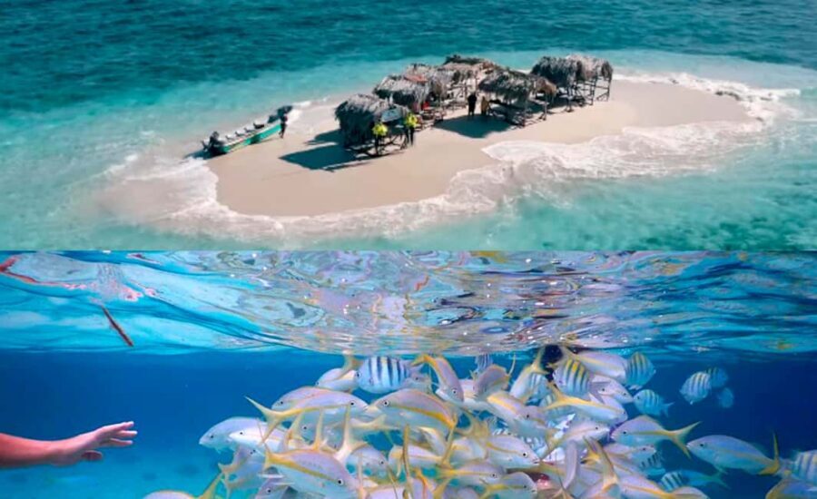 Cayo Arena: Paradise Island & Magroves Tour Private - Cayo Arena and Monte Cristi National Park: beach day plus mangrove maze