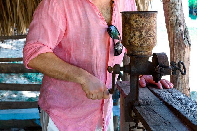 Cigar, Coffee and Mofongo Tour in Dominican Republic - Cigar Rolling Demo and Sampling: Watching Craft, Not Just Buying