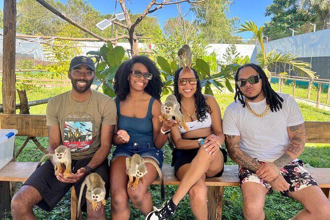Damajagua Waterfalls and Monkey Private Van Tour - The Monkey Home stop: squirrel monkeys that actually interact