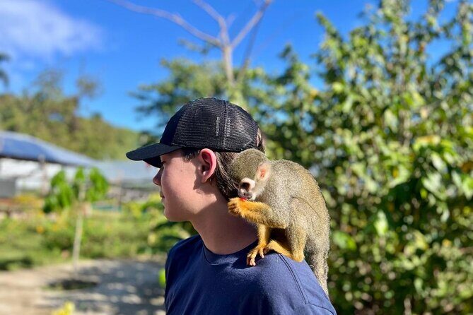 Damajagua Waterfalls and Monkey Private Van Tour - Lunch at Damajagua: included, not an afterthought