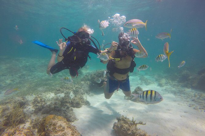 Discover Scuba Diving - DSD - The boat session and your first guided underwater outing to 12m