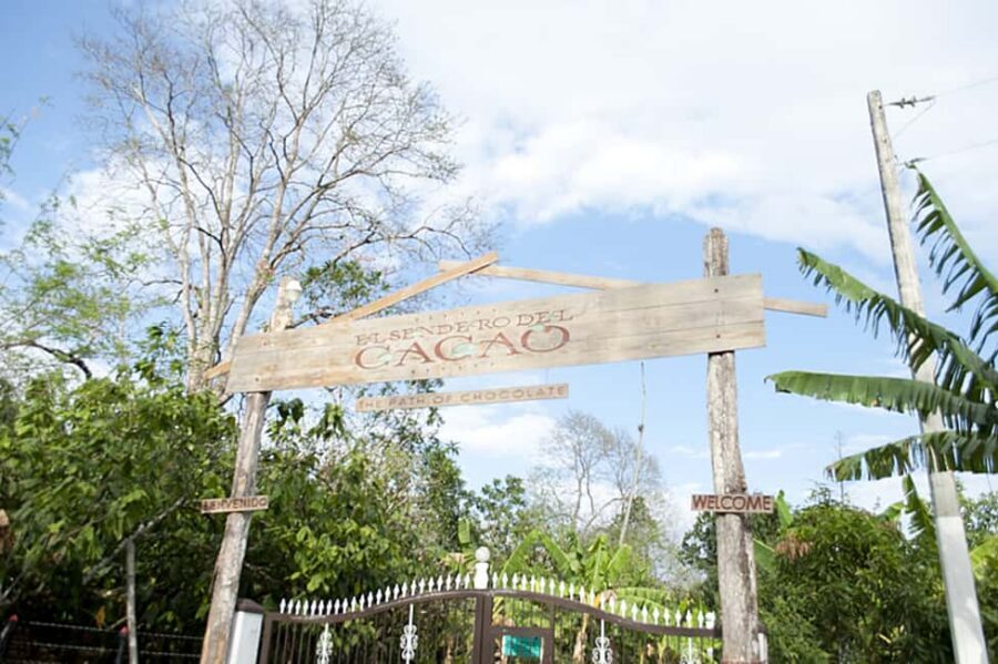 Dominican Republic: 3-Hour Chocolate Lovers Tour - Key highlights worth putting on your map