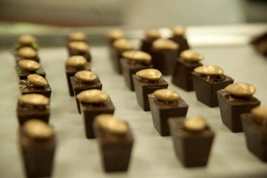 Dominican Republic: 3-Hour Chocolate Lovers Tour - 1) Chocolate in 3 hours: what this Dominican Republic tour covers