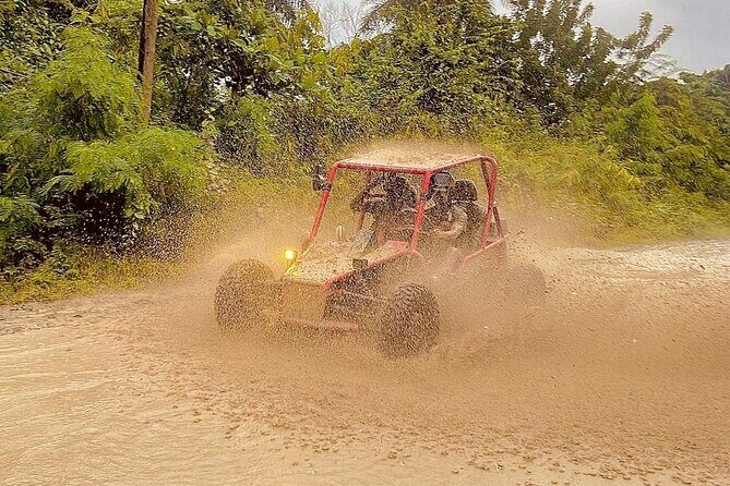 Dune Buggy Adventure from Amber Cove and Taino Bay Puerto Plata - Stop 1: Don Gregorio for mountain views, village life, and animals