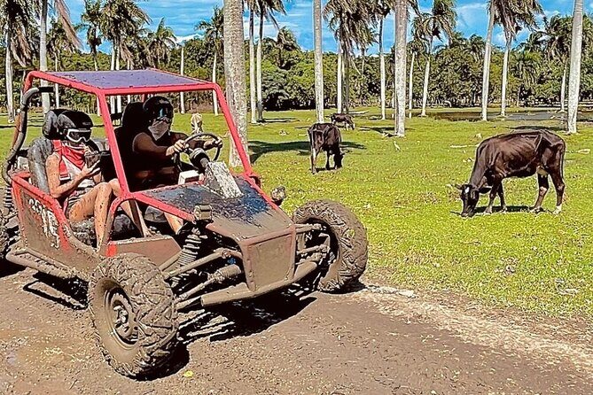 Dune Buggy Adventure from Amber Cove and Taino Bay Puerto Plata - What’s included on the buggy itself (and what you should bring)