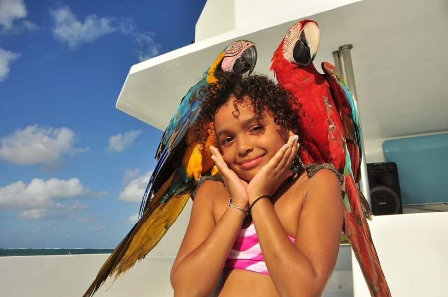 Excursión a Isla Saona desde Punta Cana (Todo incluido). - Isla Saona island time: beach, food, drinks, and a dance show
