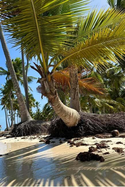 Excursión a Isla Saona desde Punta Cana (Todo incluido). - Price and value: is $89 a good deal?