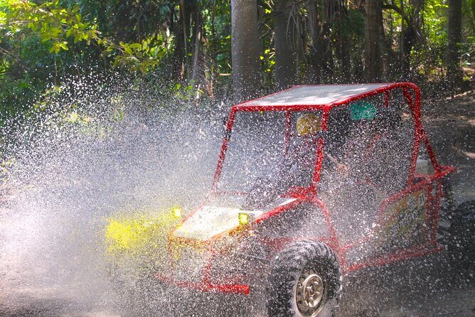 Extreme Buggy Adventure in the Puerto Plata Fields - Price and Value: Why $94.05 Can Make Sense for Off-Road Time