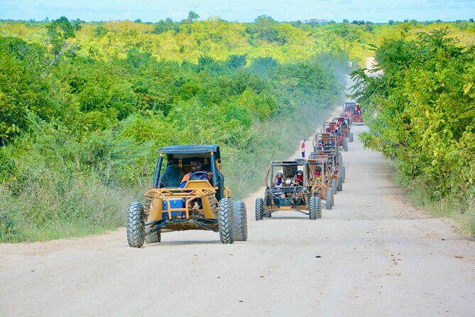 Family Buggy Adventure in Punta Cana – Up to 4 People per Vehicle - Automatic Buggies, Safety, and What Guides Actually Handle